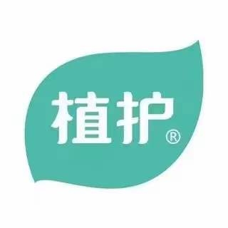 維亞造紙機(jī)械與來賓廣西植護(hù)云商7、8號(hào)機(jī)正式簽約